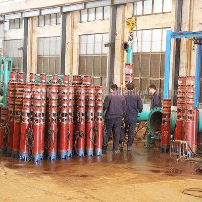100 Percent Copper Wire Motor Hot Water Submersible Pump with Flow Rate 13 to 120 Cubic Meters per Hour and Head 12 to 465 Meters