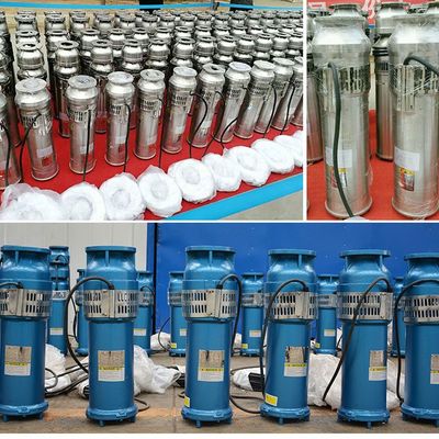 65m3/H 잠수할 수 있는 샘 펌프 스테인리스는 색깔