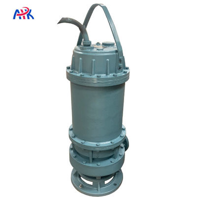 120m3/h 300m3/h 55kW 막지 않는 물 광산 잠수 펌프